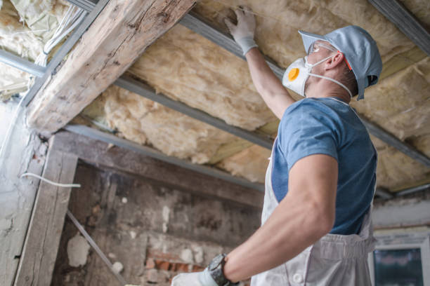 Best Energy Efficiency Insulation in Panama City, FL
