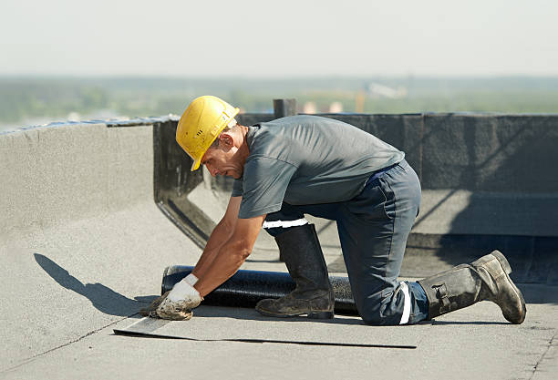 Best Specialized Insulation Services in Panama City, FL