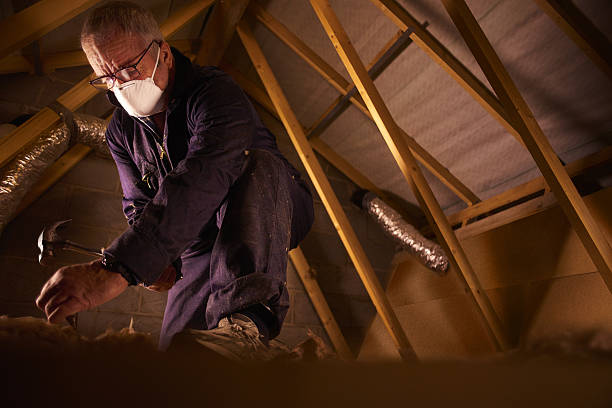 Best DIY Insulation Kits and Guidance in Panama City, FL